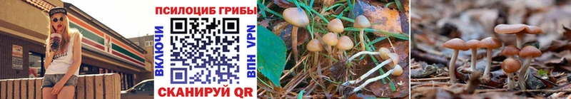 Псилоцибиновые грибы мухоморы  купить закладку  Свирск 